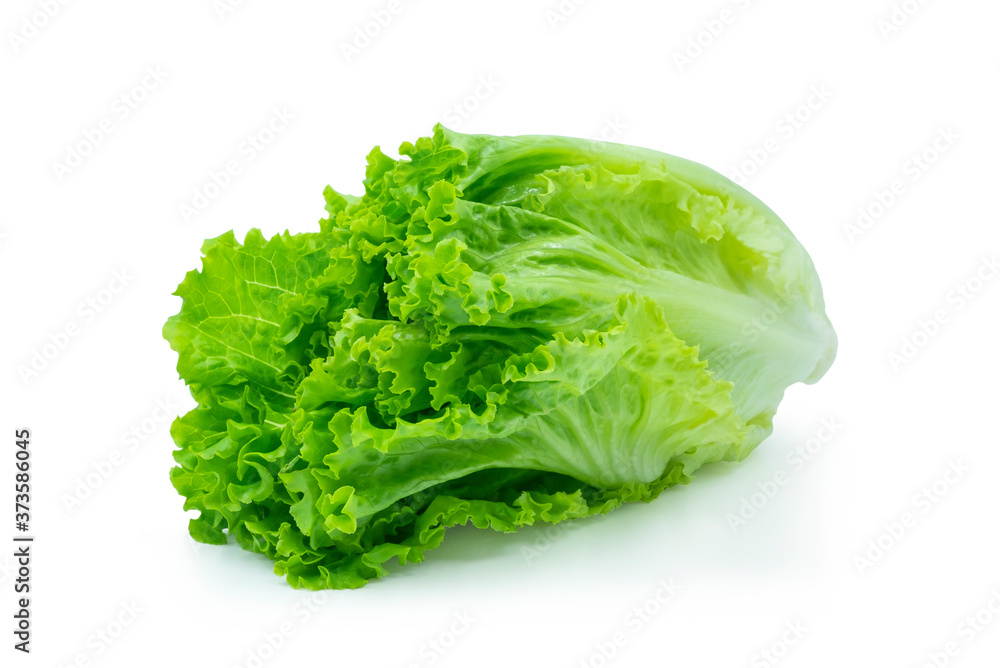 Fresh green Lettuce leaves, Salad leaf isolated on white background. Fresh green Lettuce leaves, Salad leaf isolated on white background.