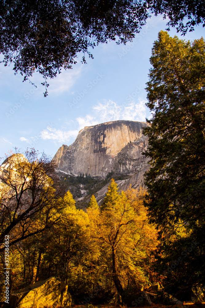 Half dome seen through the trees in Yosemite Valley. Half dome seen through the trees in Yosemite Valley.
