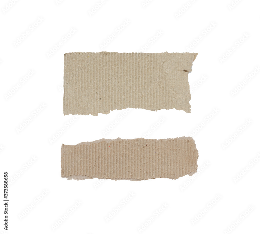 Collection of Recycled paper,crumpled paper,unfolded piece paper on white background Collection of Recycled paper,crumpled paper,unfolded piece paper on white background