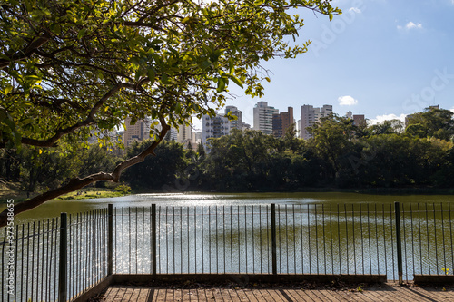 Parque da Aclimação. Parque tropical em tarde ensolarada. 