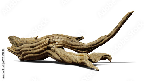 driftwood isolated on white background, aged branch