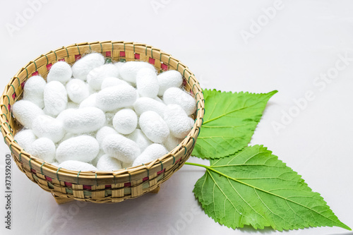 white silk cocoon