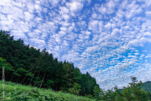 うろこ雲