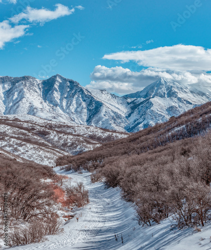 Mountain Trail in Winter photo