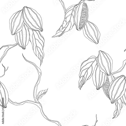 Plant seamless pattern, hand drawn black line art cocoa tree on white