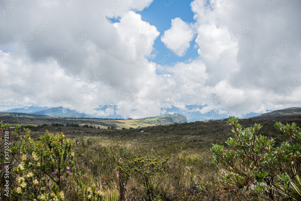 Fototapeta premium Choachi, Colombia Landscape of Colombian Andean mountains showing paramo type vegetation. Park Called Paramo Matarredonda near Bogota 