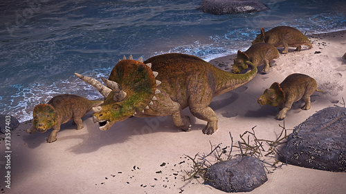 Triceratops horridus family on the beach, dinosaurs from the Jurassic in peaceful landscape © dottedyeti