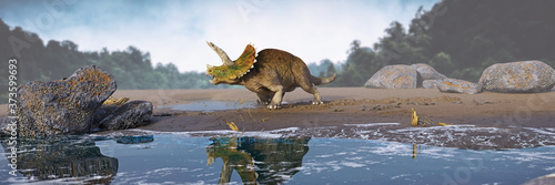 Triceratops horridus dinosaur in prehistoric landscape  © dottedyeti