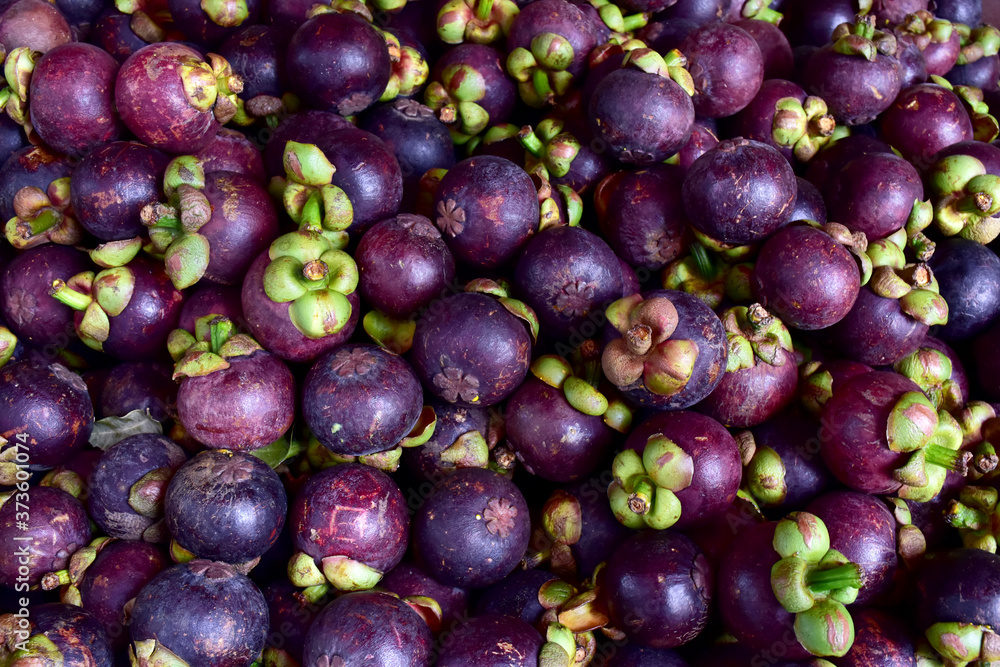 Closeup of Fresh ripe mangosteen fruits for sale in a supermarket and market at Thailand, queen of fruits, mangosteen is a fruit with white flesh, sweet and delicious.