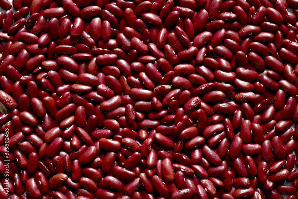 View Top of Red Kidney Bean for use as background, Full depth of field. View Top of Red Kidney Bean for use as background, Full depth of field.