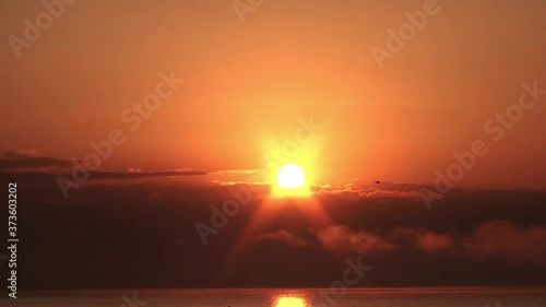 日の出に鳥が飛ぶ