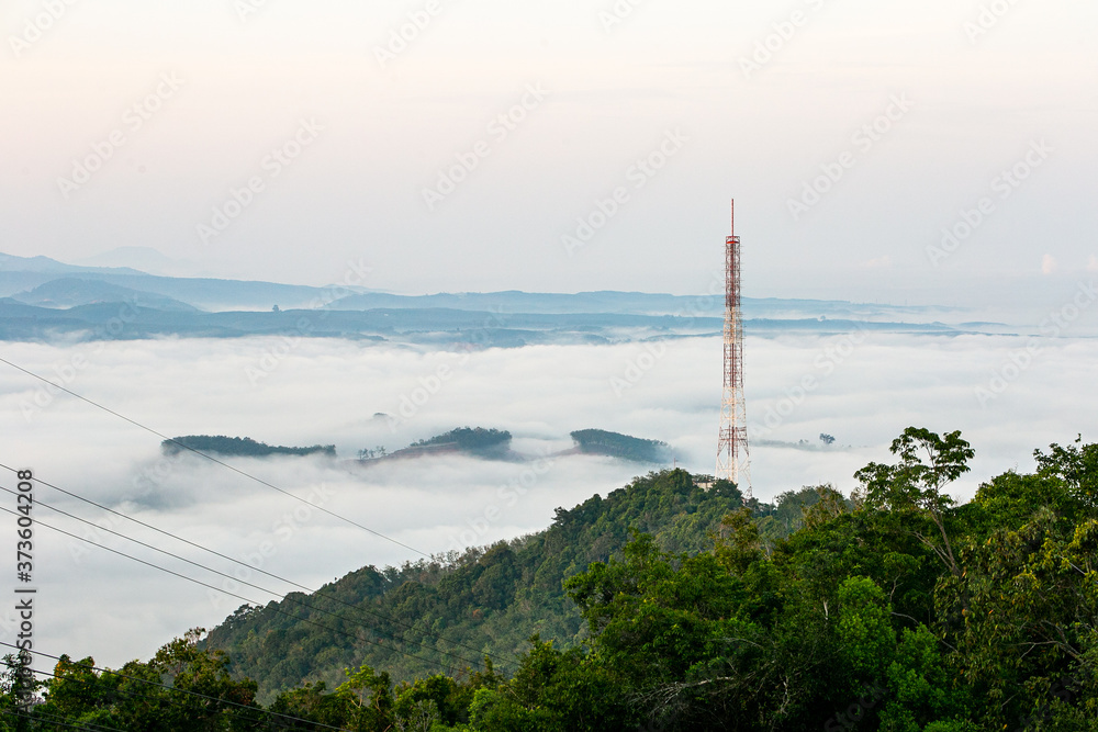 the fog  on the mountain
