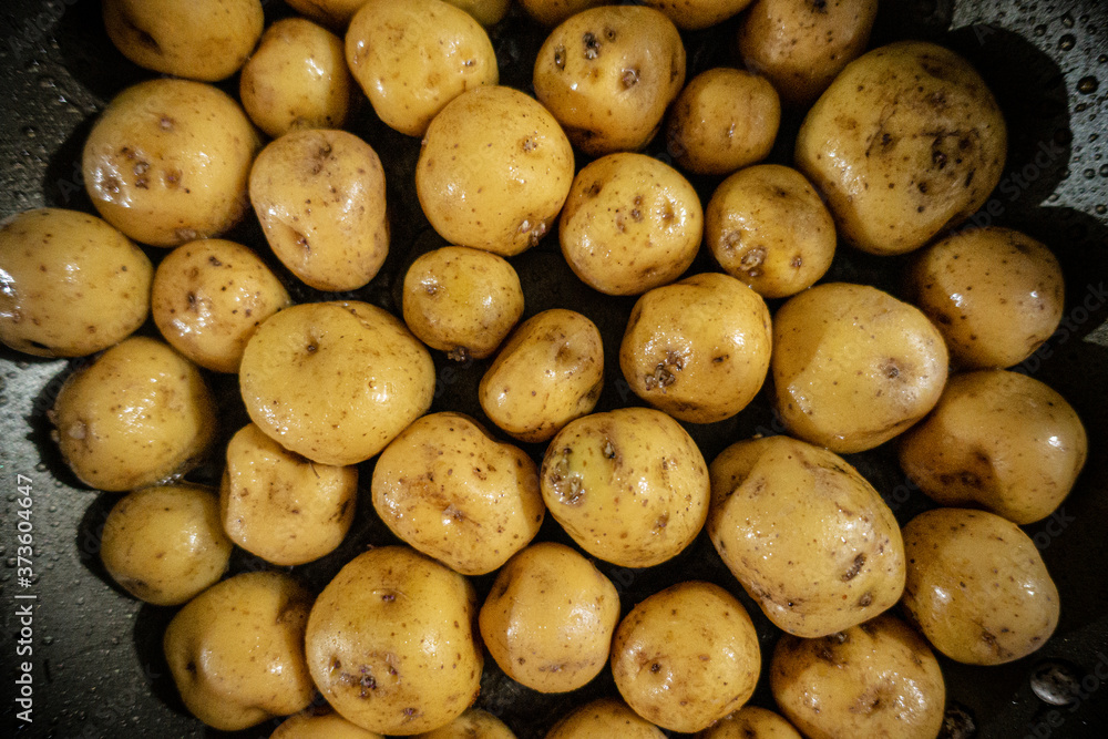 Cooking Creole potato also named yellow potato (Solanum phureja)
Cooking Creole potato also named yellow potato (Solanum phureja)