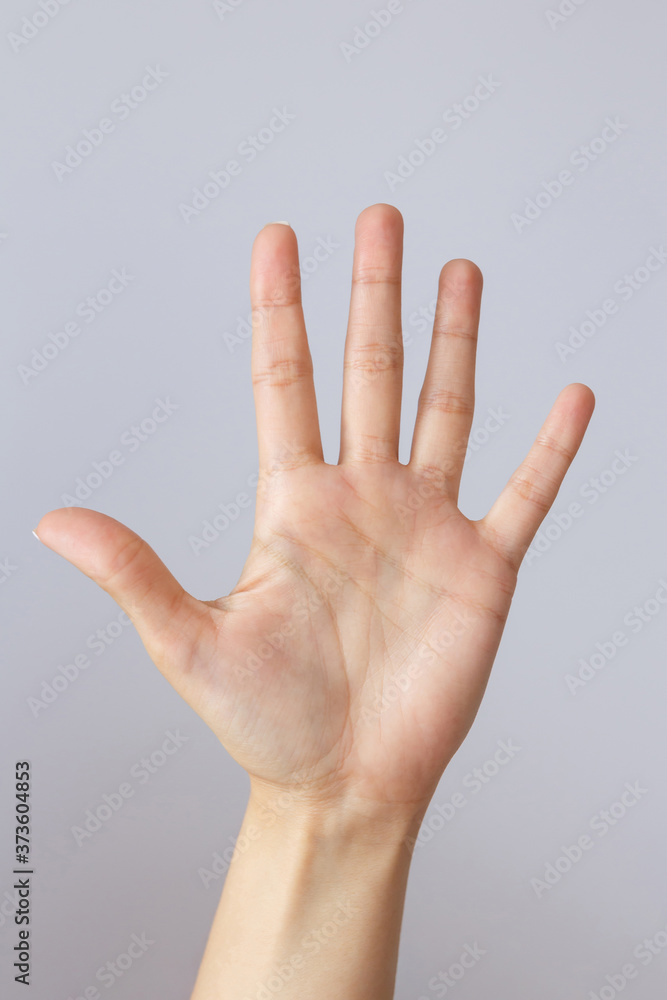 The hand shows the number five. Countdown gesture or sign. Sign language. The hand shows the number five. Countdown gesture or sign. Sign language.