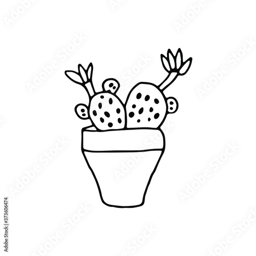 logo cactus mammillaria.sign hand drawn cactus mammillaria in a pot.Cute element for card, social media banner, sticker, print, decoration kids playroom
