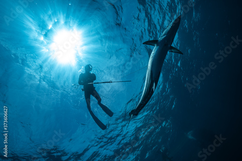 Spearfishing Underneath