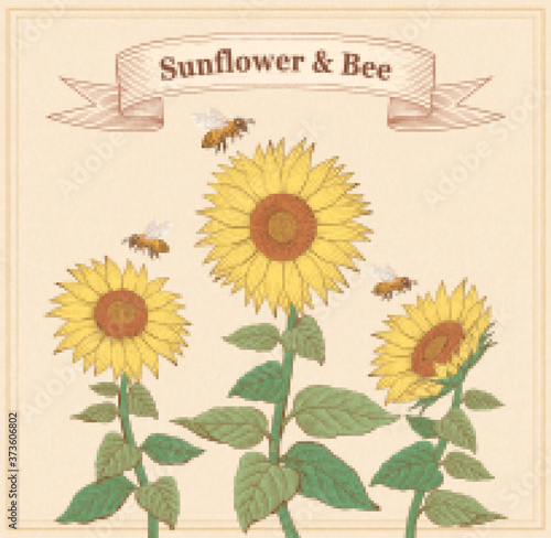 Engraving sunflowers and honeybees