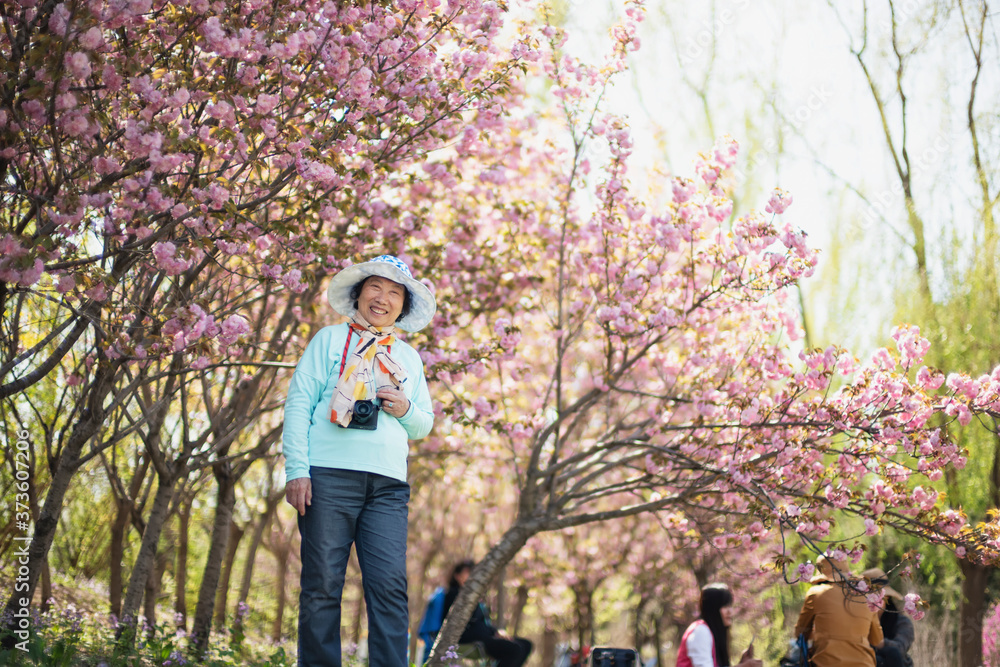 Portrait of happy senior beautiful woman in spring park Portrait of happy senior beautiful woman in spring park