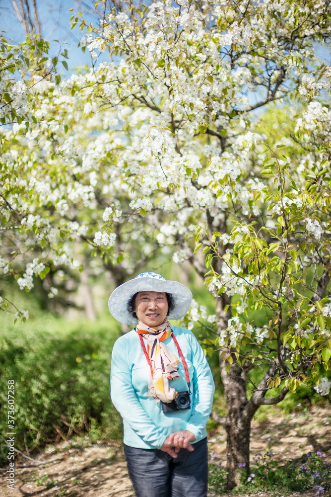 Portrait of happy senior beautiful woman in spring park 