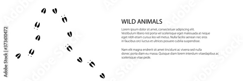 Banner of track of forest animal, trace of a moose animal , vector illustration