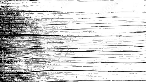 Old grunge background. Natural texture of an old cracked wooden log.
