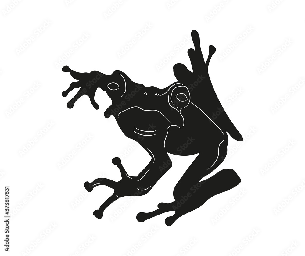 frog vector illustration, silhouette drawing, vector frog vector illustration, silhouette drawing, vector