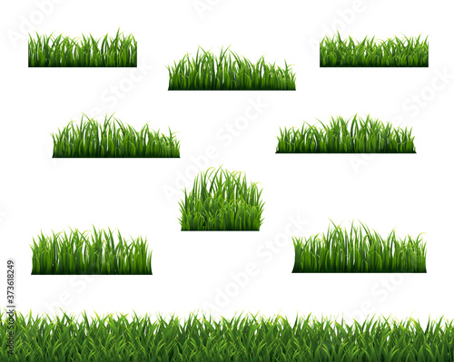 Green Grass Borders And White Background With Gradient Mesh, Vector Illustration