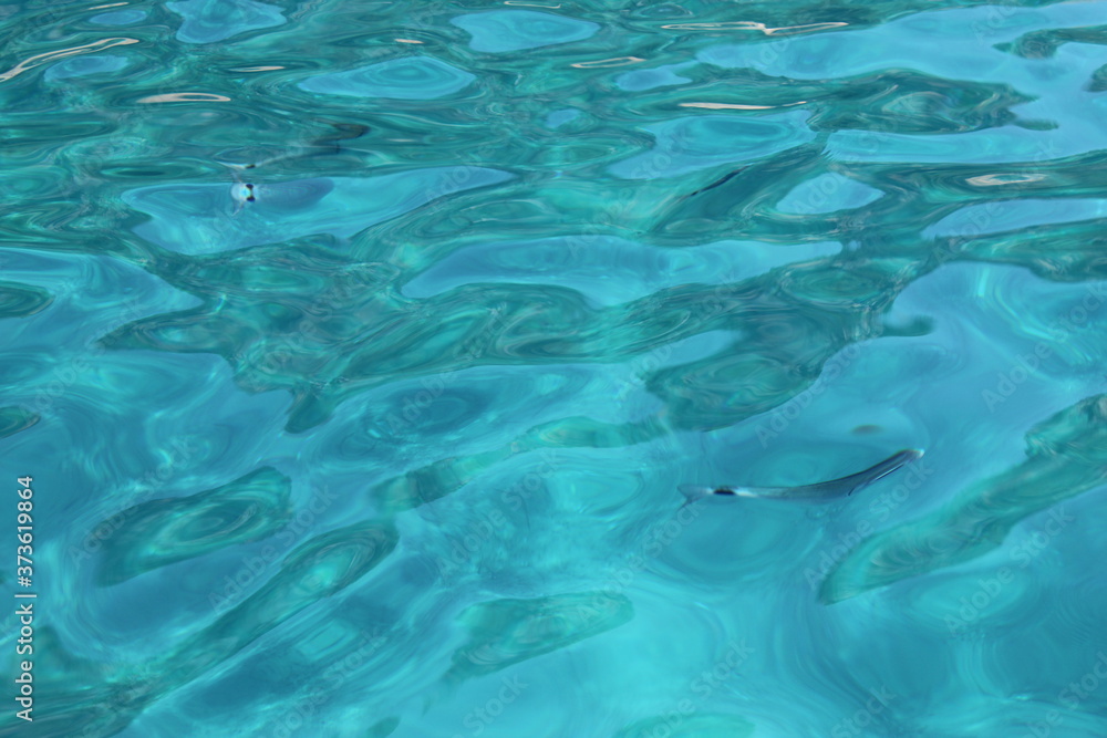 Fototapeta premium Paysage de la Corse lors d'un voyage, ciel, mer, montagne, magnifique