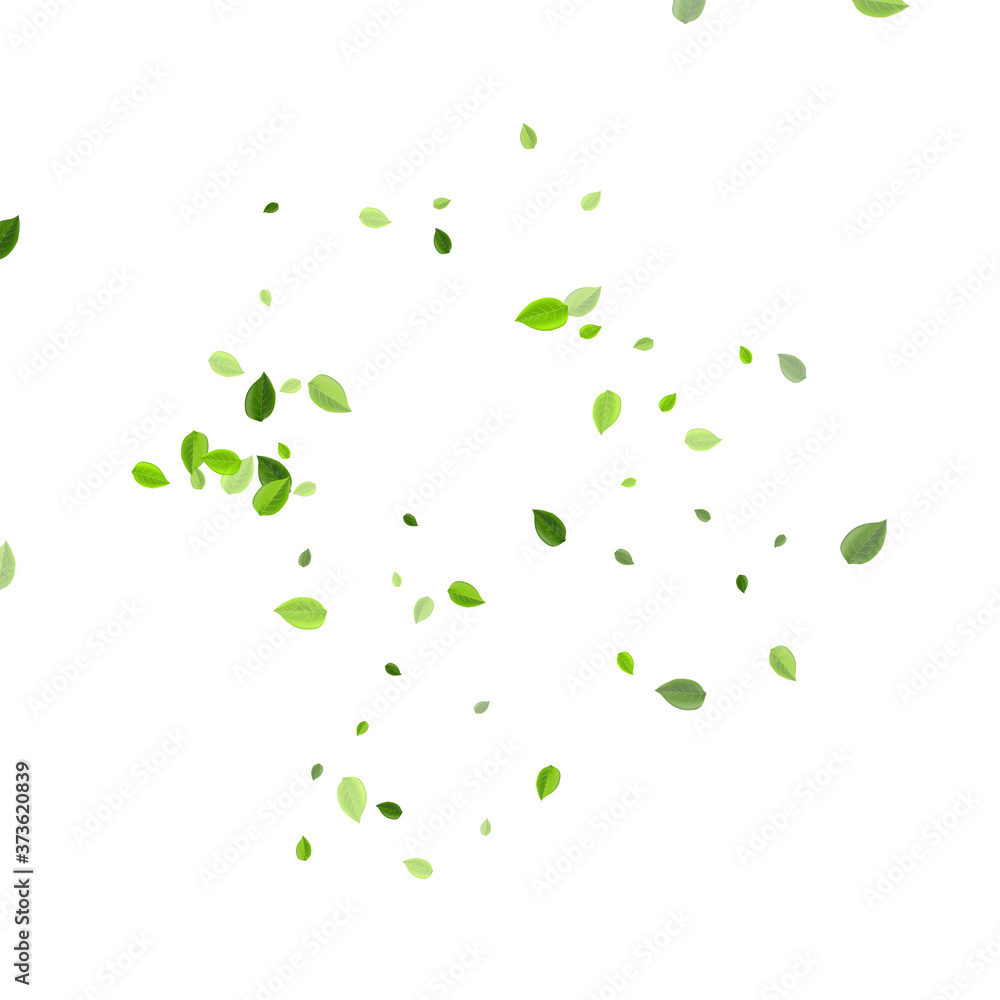 Grassy Leaves Fly Vector Banner. Spring Greens Grassy Leaves Fly Vector Banner. Spring Greens