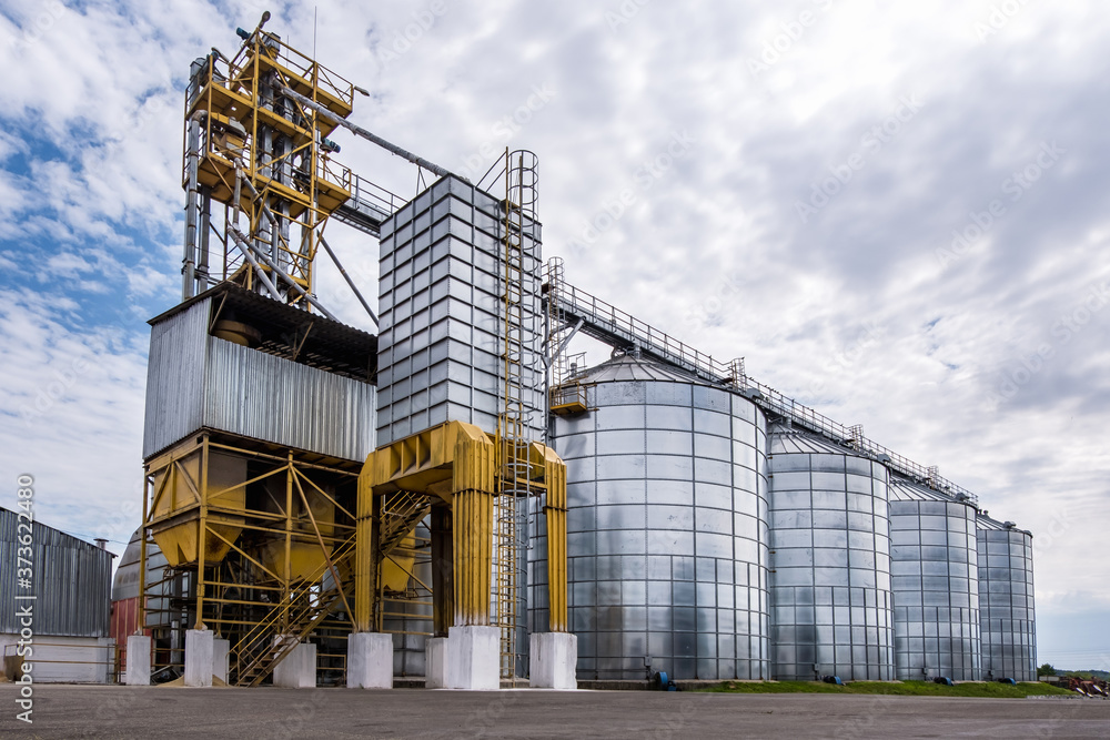 Fototapeta premium Modern Granary elevator. Silver silos on agro-processing and manufacturing plant for processing drying cleaning and storage of agricultural products, flour, cereals and grain.