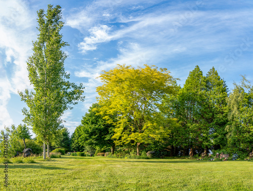 Panorama photo of trees in different shapes and leaf tones in a beautifully landscaped garden with a great diversity of trees and flowering shrubs near the village of Harkstede in Groningen