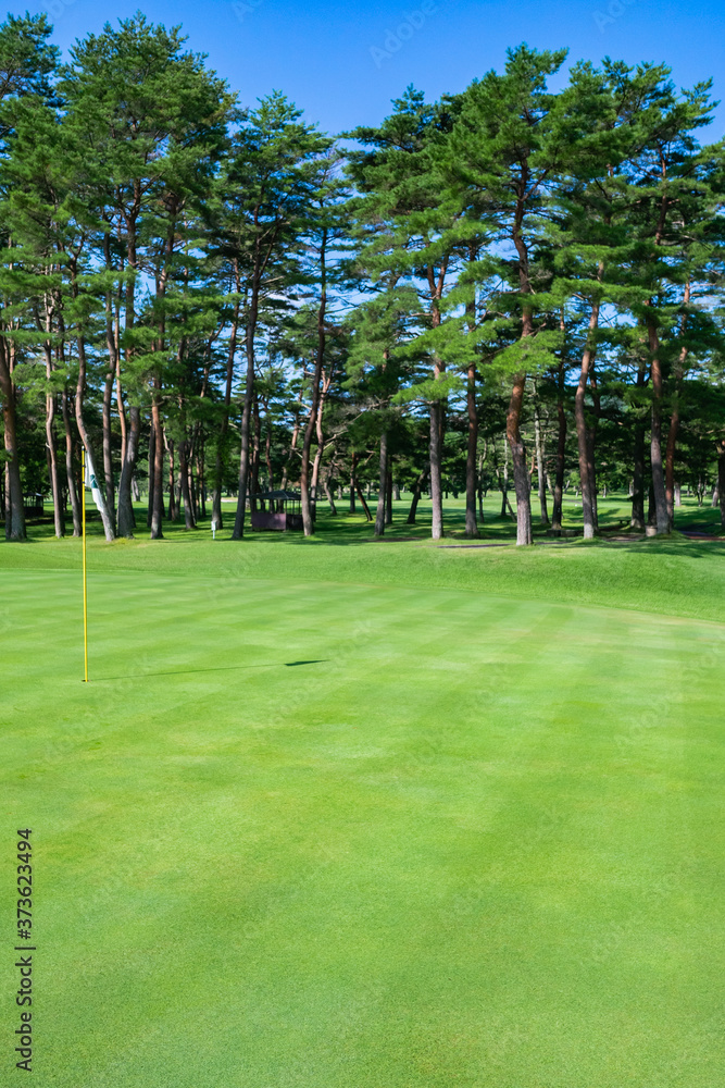 Obraz premium Golf Course with beautiful green field. Golf course with a rich green turf beautiful scenery.