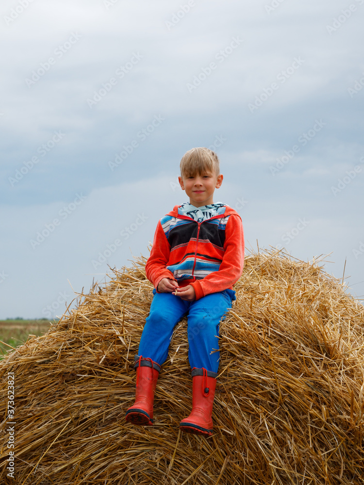 boy in the field playing on a stack of straw boy in the field playing on a stack of straw
