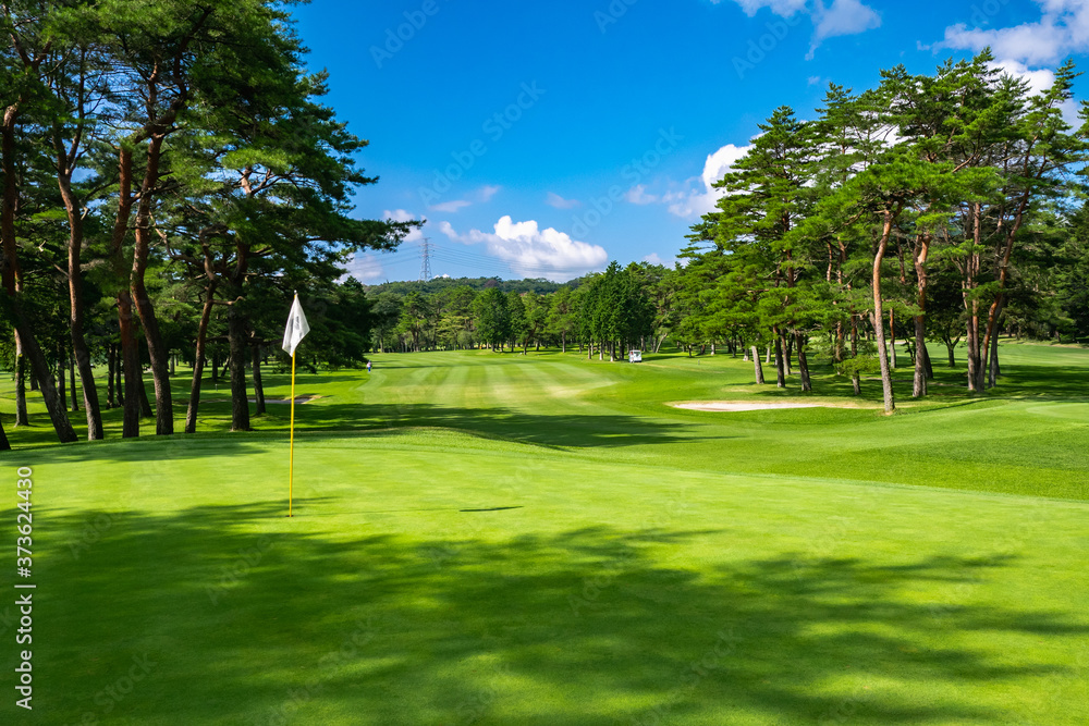 Golf Course with beautiful green field. Golf course with a rich green turf beautiful scenery. Golf Course with beautiful green field. Golf course with a rich green turf beautiful scenery.