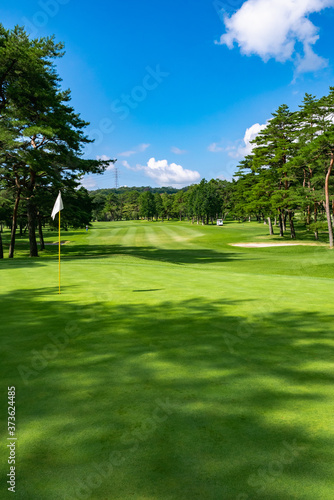 Golf Course with beautiful green field. Golf course with a rich green turf beautiful scenery.