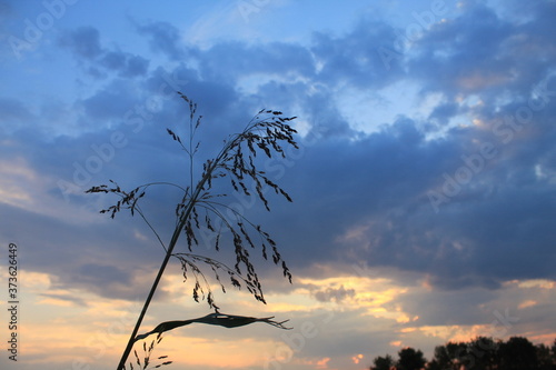 
clouds in the red sunset of a summer evening