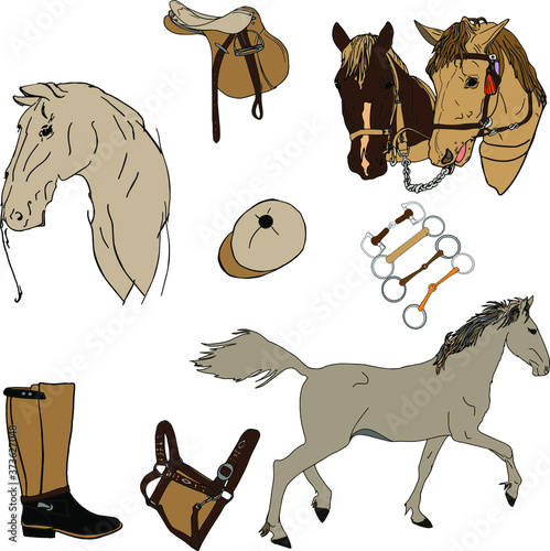 Vector illustration of set horse and equipment. By line and in the color of the horse and sports equipment, a blank for the designer, printing packaging, postcards, coloring, clothes, interior design,