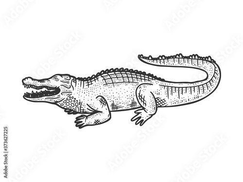 crocodile alligator animal sketch engraving vector illustration. T-shirt apparel print design. Scratch board imitation. Black and white hand drawn image.