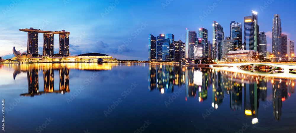 Singapore down town panorama at night