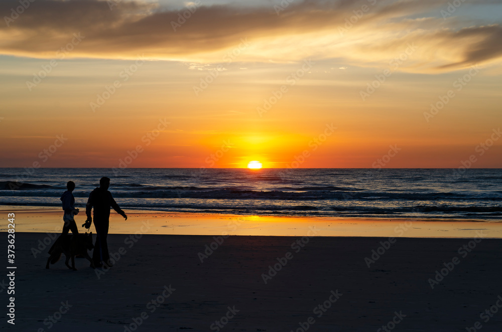 Jacksonville Beach Sunrise Dog Walk