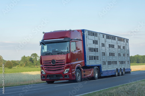 Tableau sur toile ein Tiertransport mit Schweinen auf dem Weg zum Schlachthof