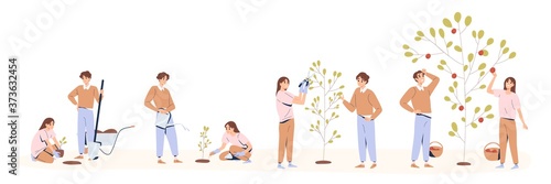Set of couple planting and caring of tree stages vector flat illustration. Man and woman seedling, cultivation and collecting harvest isolated on white. Concept of collaboration and environment care