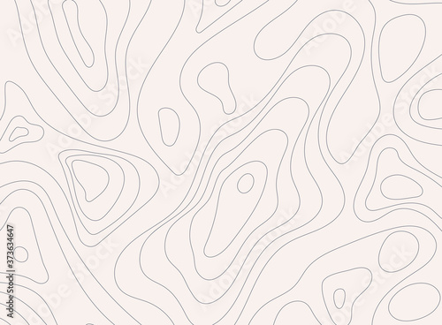 Topographic map background concept with space for your text. Topographic map contour background.  Map mockup infographics.