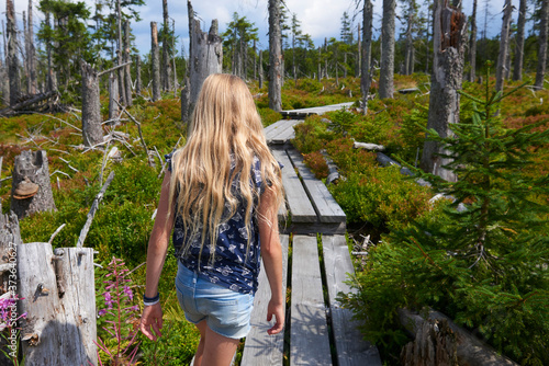 Child girl walking barefoot along a wooden walkway in a peat bog around a lake  Latschensee. Tourist walking in nature reserve. Bavarian Forest National Park, Germany photo