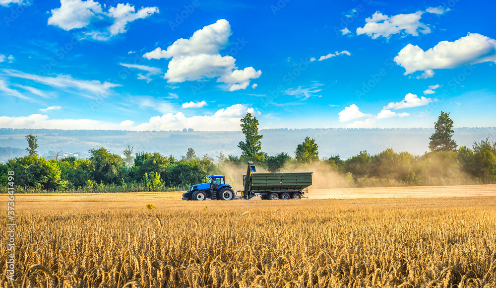 Fototapeta premium Tractor in the field
