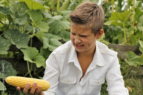 Bild auf Leinwand Boy emotions eats corn in summer outdoors