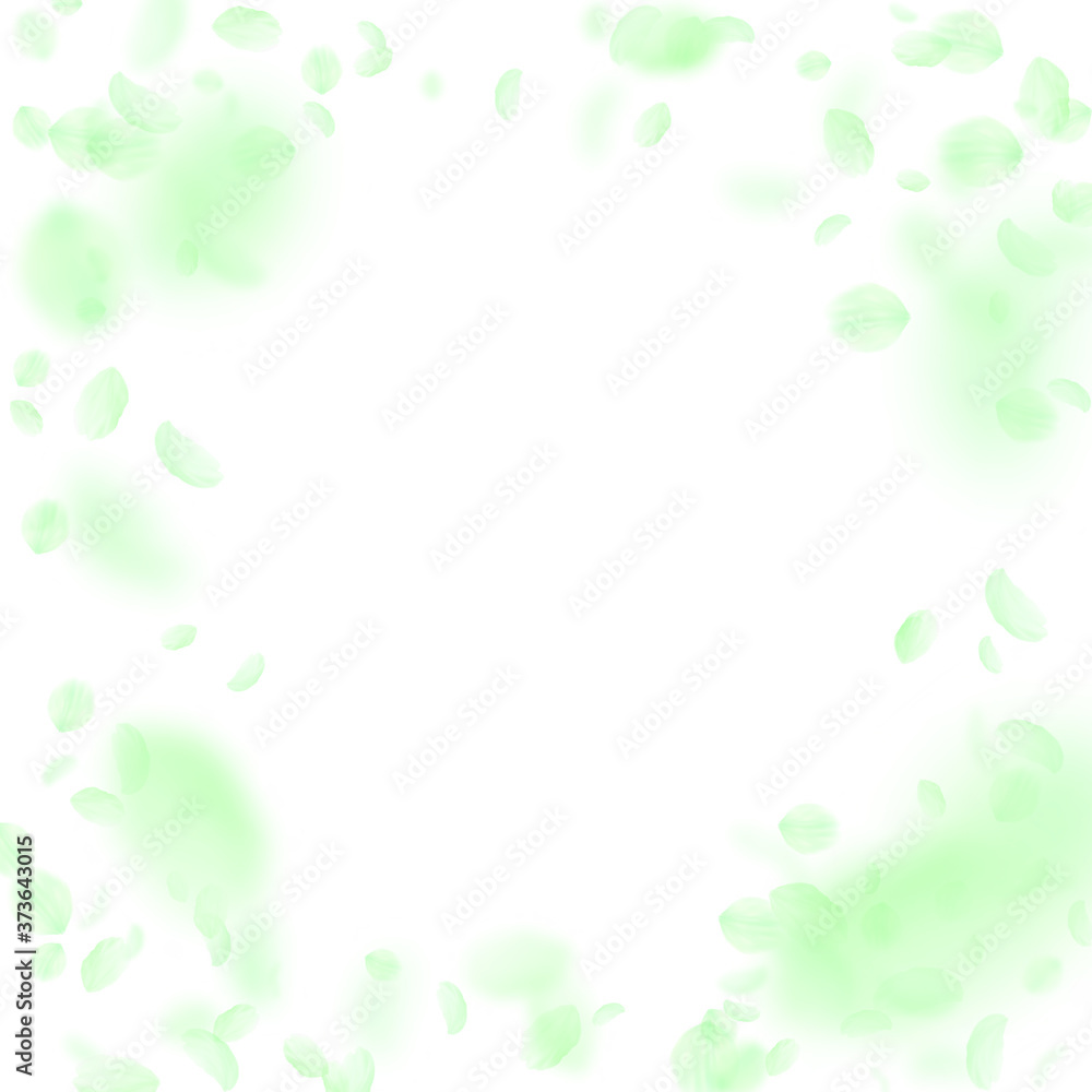 Green flower petals falling down. Memorable romant Green flower petals falling down. Memorable romant