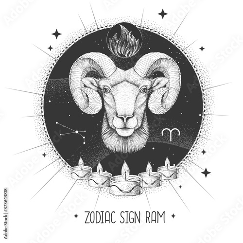 Modern magic witchcraft card with astrology Aries zodiac sign. Realistic hand drawing ram or mouflon head. Zodiac characteristic