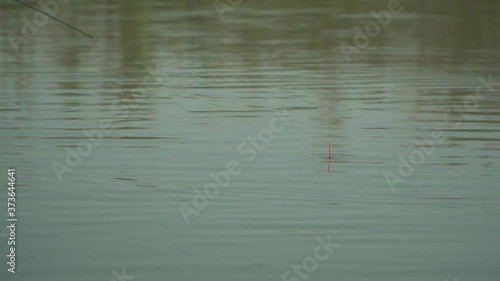 
Fishing float in the water. Fishing on the river. Fish bite.