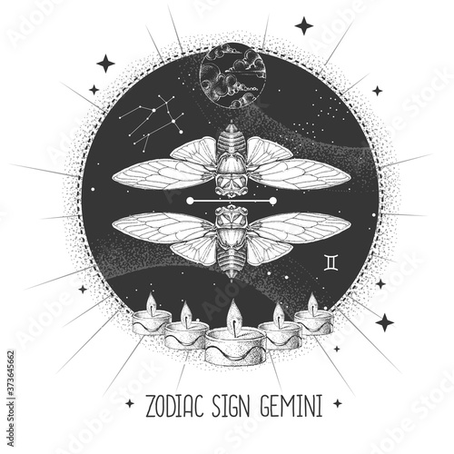 Modern magic witchcraft card with astrology Gemini zodiac sign. Realistic hand drawing butterfly or cicada illustration. Zodiac characteristic